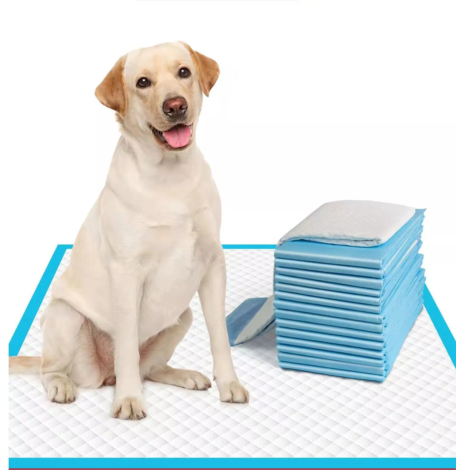 Fast absorption high quality SAP Oem / Odm Pet pee pad puppy pad pet training pad